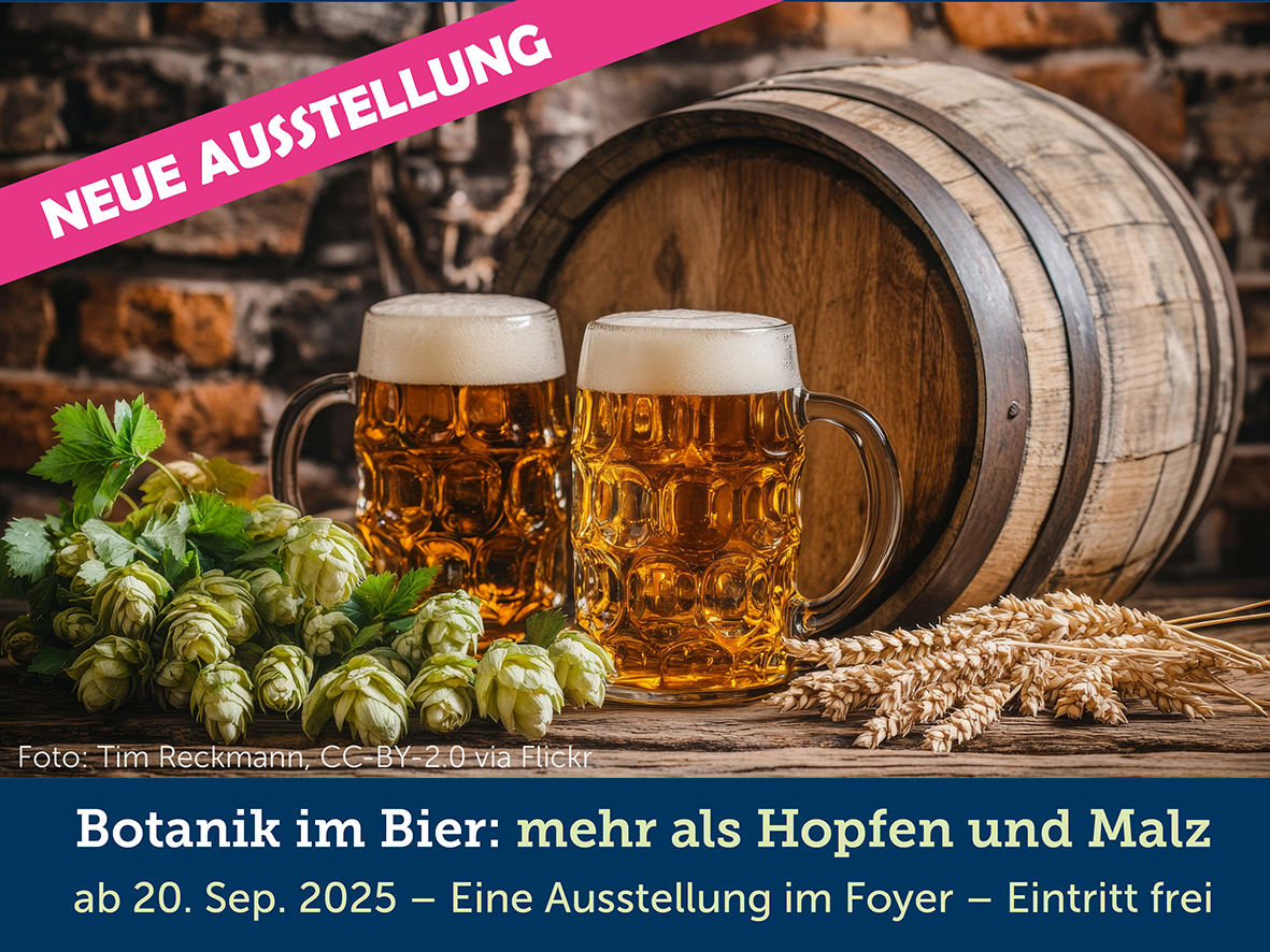 Botanik im Bier