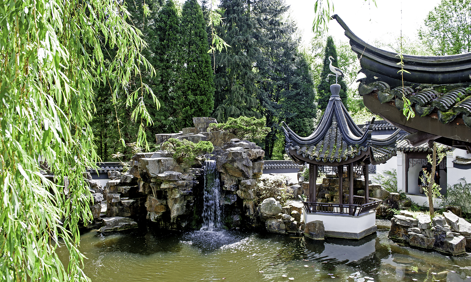 Chinese Garden