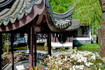 The Chinese Garden - photo: Wolfgang Stuppy; ©RUB