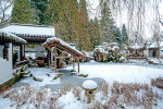 The Chinese Garden in winter (January 31, 2019) - photo: Wolfgang Stuppy; ©RUB