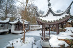 The Chinese Garden in winter (January 31, 2019) - photo: Wolfgang Stuppy; ©RUB