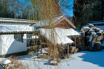 Der Chinesische Garten im Winter (31.01.2019) - Foto: Wolfgang Stuppy; ©RUB