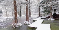 Tertiary lake in Winter - photo: Wolfgang Stuppy; ©RUB