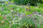 Herbaceous border opposite the display glasshouses - photo: Wolfgang Stuppy; ©RUB