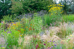 Herbaceous border opposite the display glasshouses - photo: Wolfgang Stuppy; ©RUB