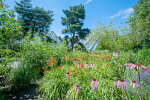 View of the display glasshouses across the herbaceous border - photo: Wolfgang Stuppy; ©RUB