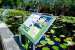 Interpretation panel at the lotus pond - photo: Wolfgang Stuppy; ©RUB