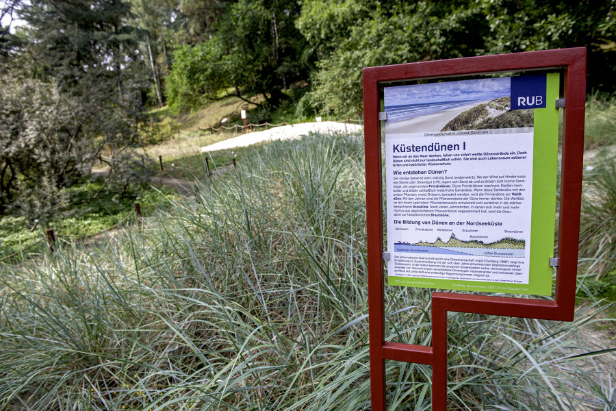 Dune with interpretation panel