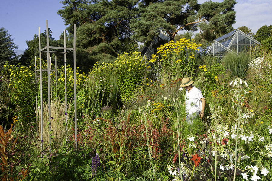 Herbaceous border with Emma