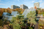 View of the display glasshouses with the skyline of the Ruhr-University in the background - photo: Wolfgang Stuppy; ©RUB