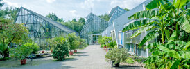 View of the entrance to the display glasshouses - photo: Wolfgang Stuppy; ©RUB