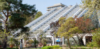 Tropical glasshouse - photo: Wolfgang Stuppy; ©RUB