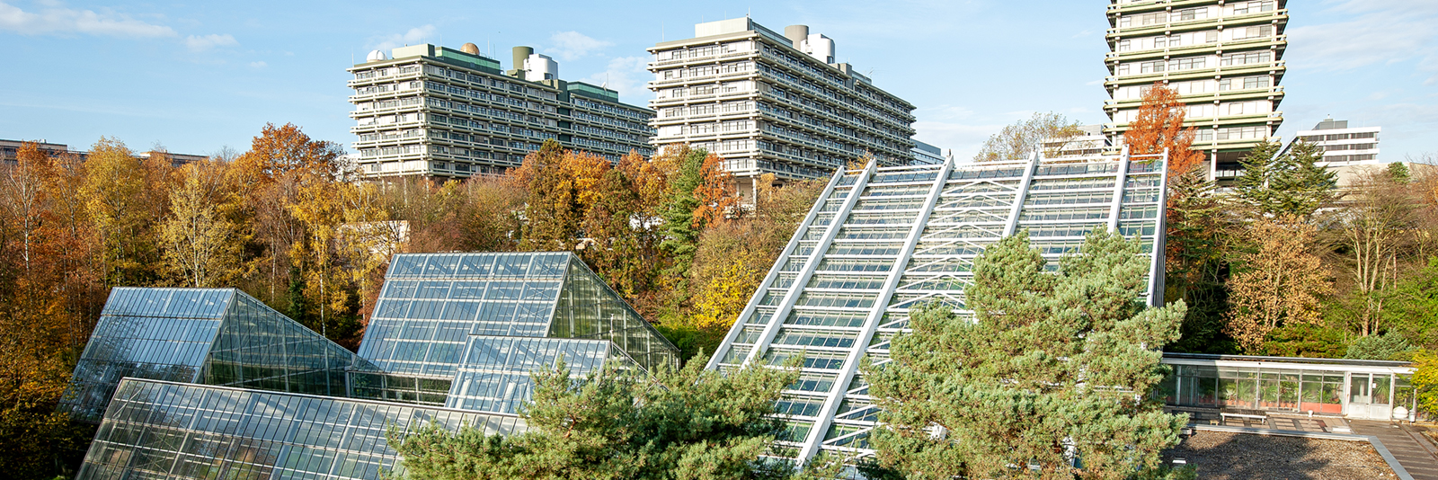 Blick auf Schauhäuser